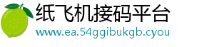 纸飞机接码平台